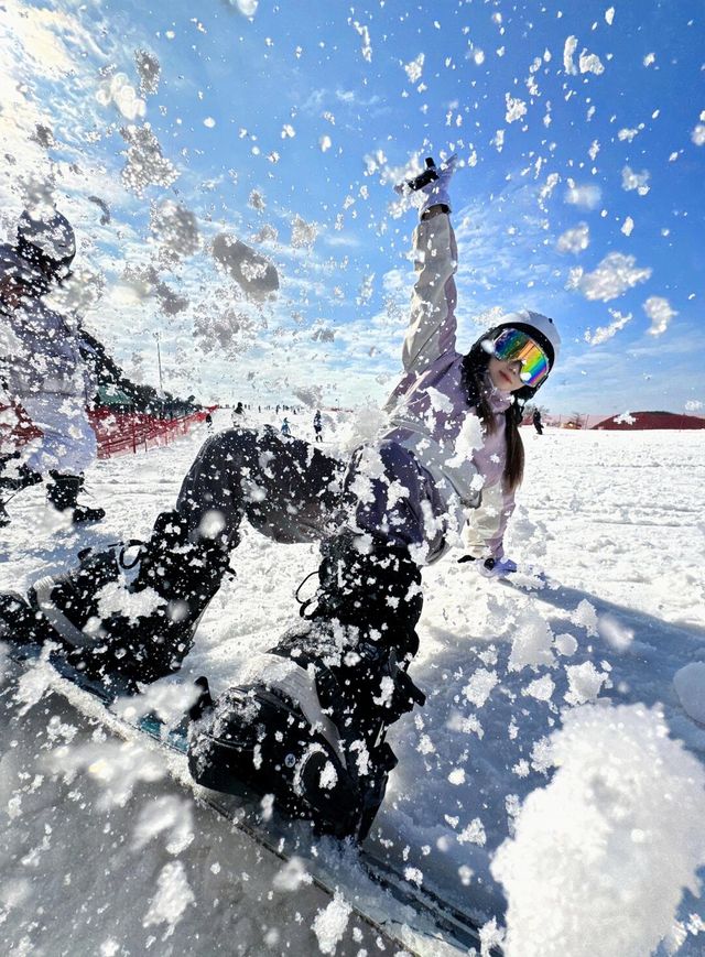 雲上草原滑雪。