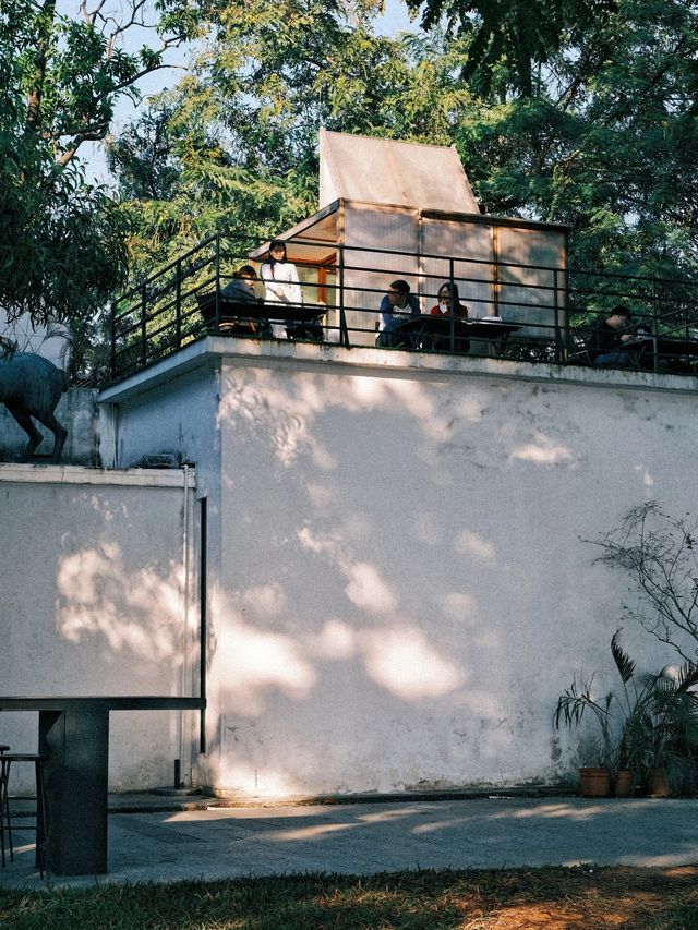 周末去哪兒|去大觀濕地公園定格秋日浪漫生活