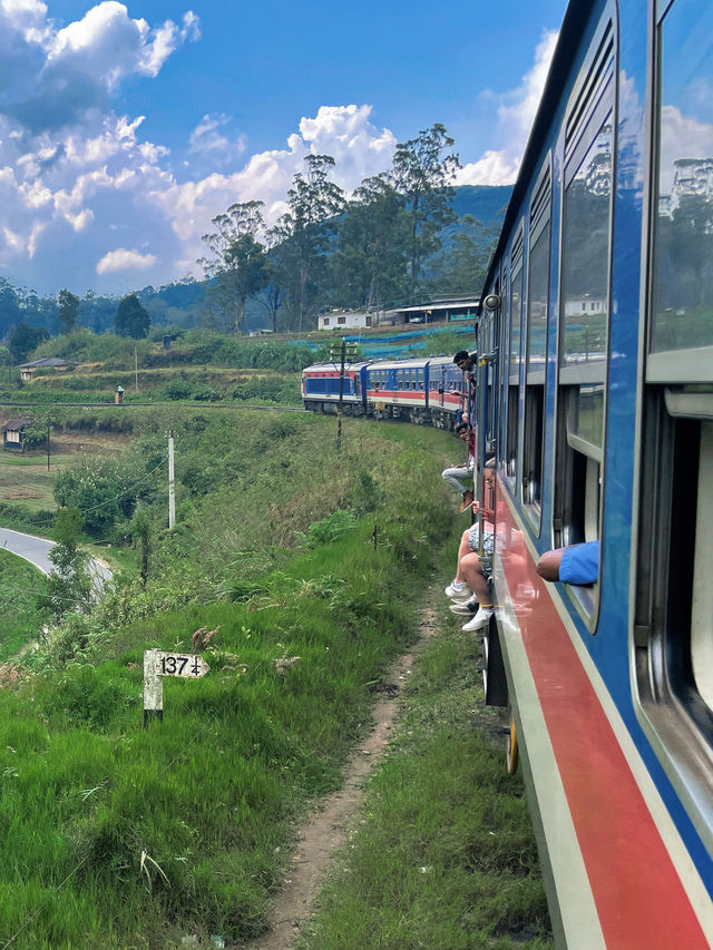 冬季反向遊 | 斯里蘭卡必體驗，高山茶園火車之旅！