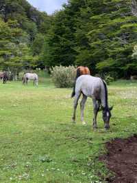 Southern Patagonia’s most charming city