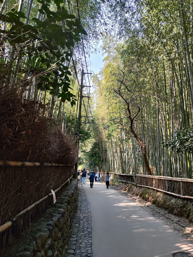 Exploring the Heart of Kyoto