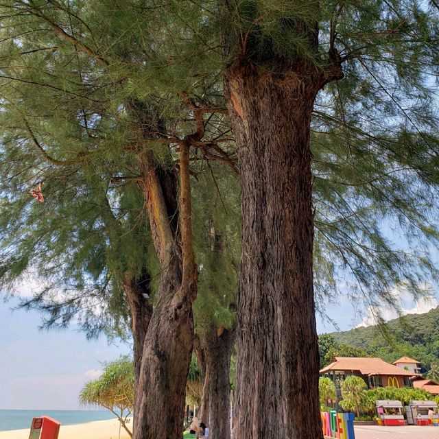 🇲🇾 : Teluk Cempedak Beach for Instagramable