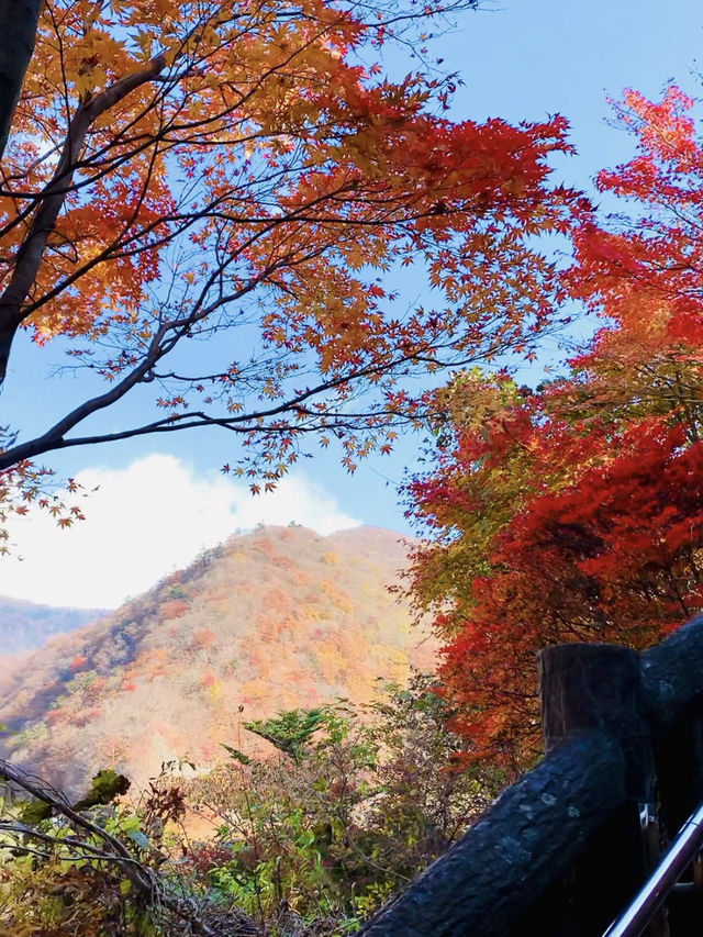 【群馬×秋】  《奥四万湖》   真っ赤な紅葉と四万ブルーの絶景