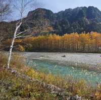 上高地（平湯轉旅遊巴）