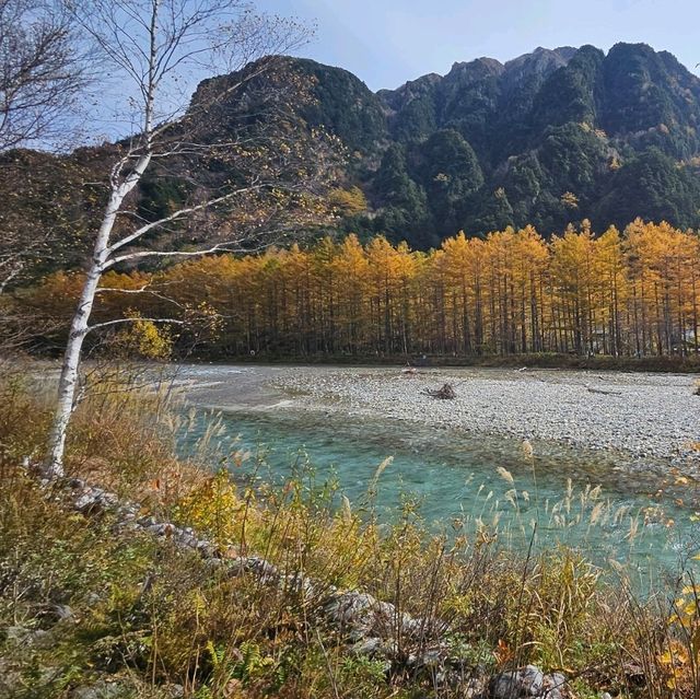 上高地（平湯轉旅遊巴）