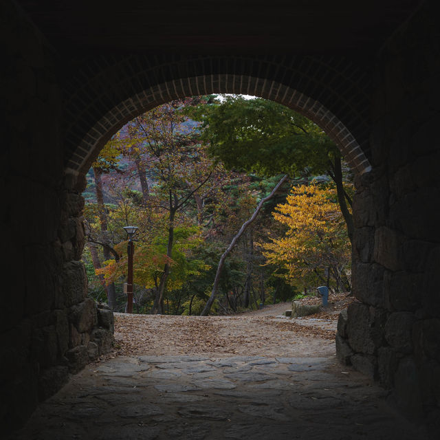 인천 가을 여행지중 세 손가락안에 드는 역대급 단풍”전등사”