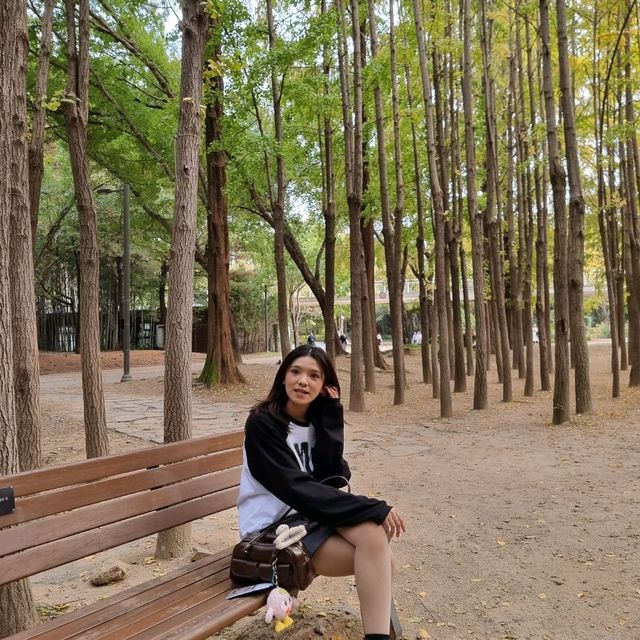 Seoul Forest Park 