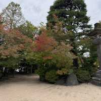 Charming Matsumoto Castle- Samurai 🥷 like Castle 