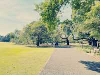 旅遊遊記：探索東京的綠洲——新宿御苑🌳🌼🌻