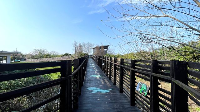 不容錯過的海珠國家濕地公園南區