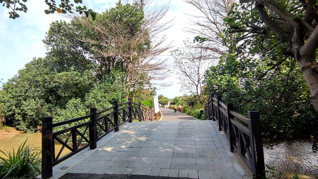 不容錯過的海珠國家濕地公園南區