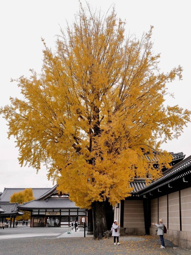 西本願寺