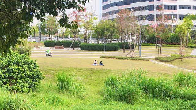 深圳即使是坪地公園顏值也沒話說