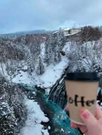 北海道之行精彩瞬間