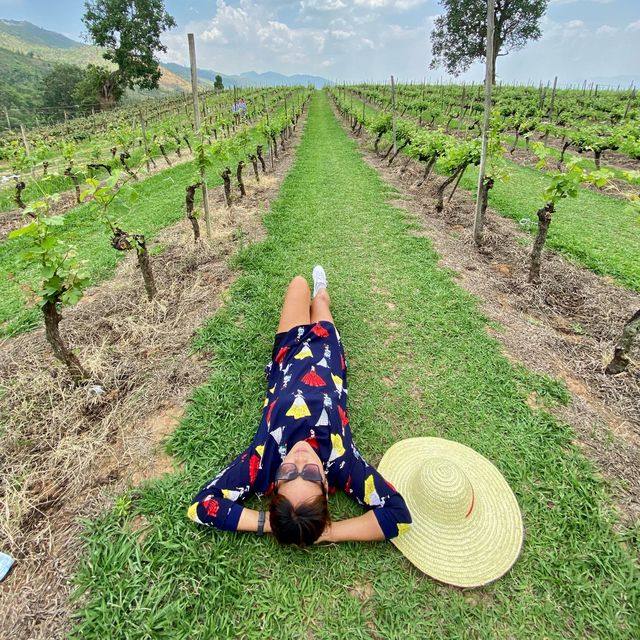 Myanmar 1st Vineyard at Southern Shan State