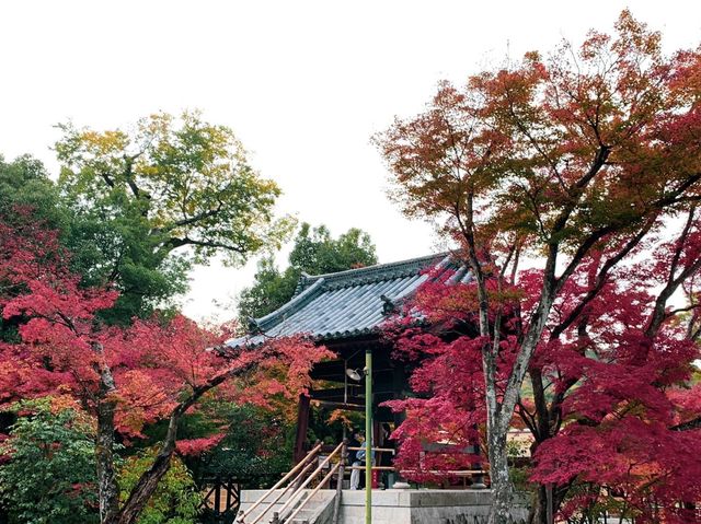 วัดคิงกะกุ 金閣寺