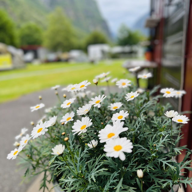 挪威Vang Camping 露營區木屋