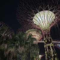 Singapore: Where Nature Meets Urban Wonder and Culinary Delighte