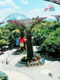 🇸🇬 Berry welcome to Gardens by the Bay