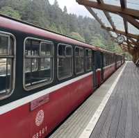 Lost in beauty at Alishan