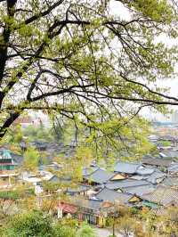 Rainy Day Charm: Exploring Jeonju Hanok Village in Serenit