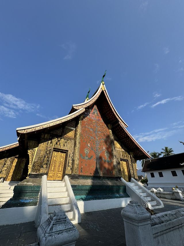 วัดเชียงทอง | หลวงพระบาง 🛕🇱🇦🌿🙏🏻