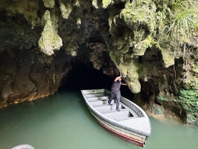 A Magical Journey Through Waitomo Glowworm Caves