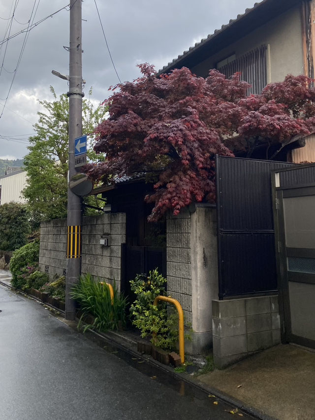 Biking Around Kyoto: A Different View of the City