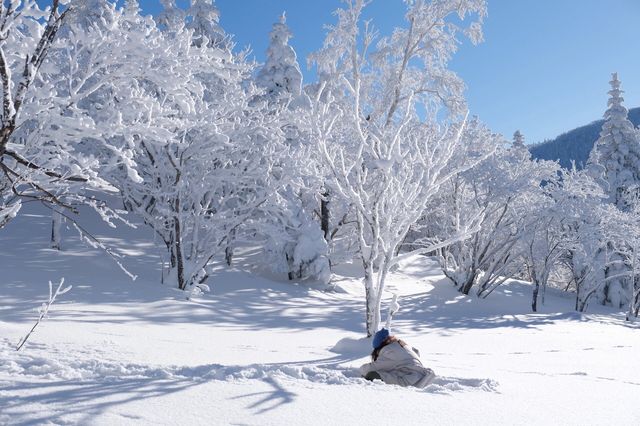 雪谷太美了，下次不會來了