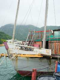 來香港玩總要去海島體驗一次漁民生活吧