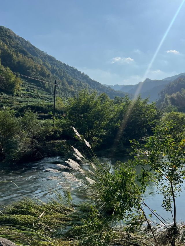 即將消失的行山路線——安山古道。