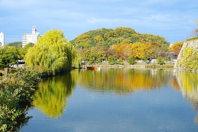 漫步白鷺城，逛一座令人驚艷的日本城堡。