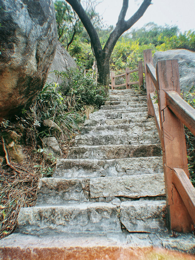 在廈門不止是海，還有這山