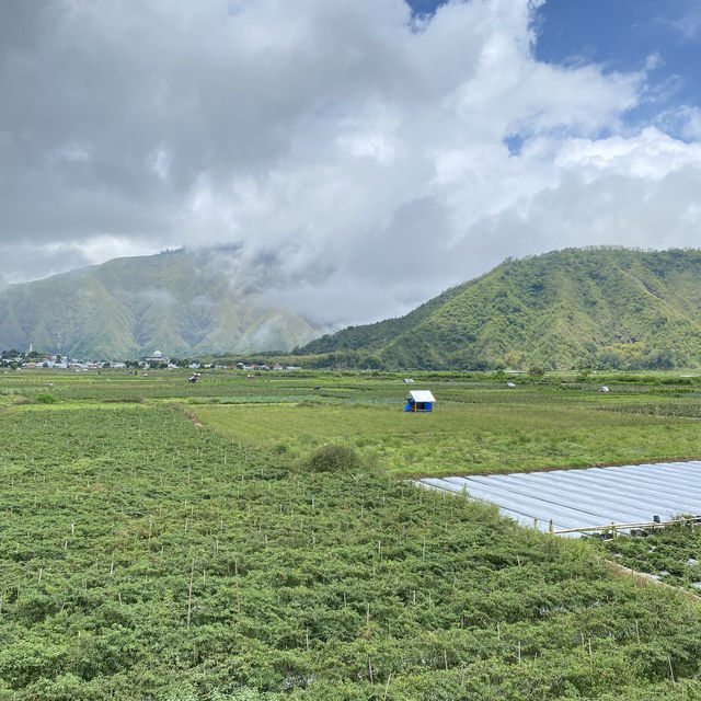 Amazing view in Sembalun, Lombok