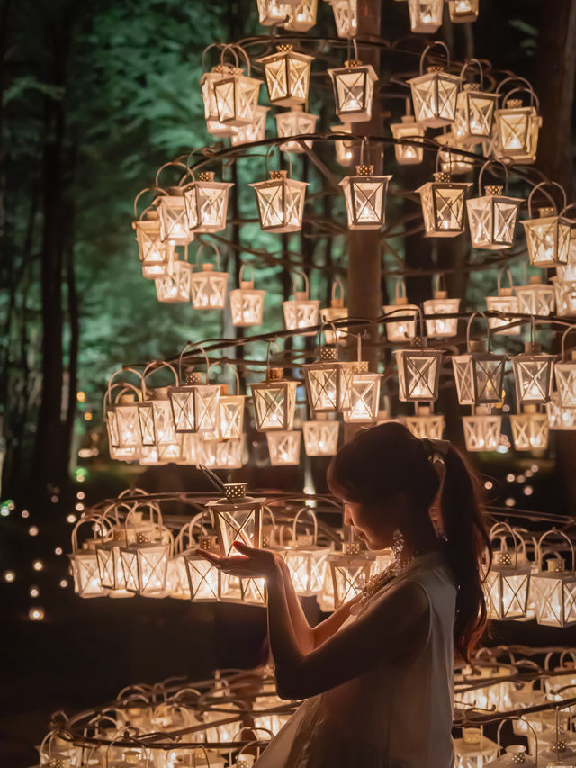 やわらかな光であふれる🕯️ランタンキャンドルの森🌲