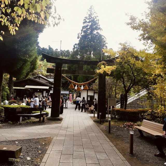 "Rejuvenation in Nature: A Visit to Shirakawa Fountain Head"