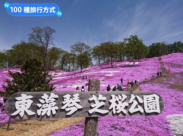 北海道道東自駕遊，8天7夜行程景點分享