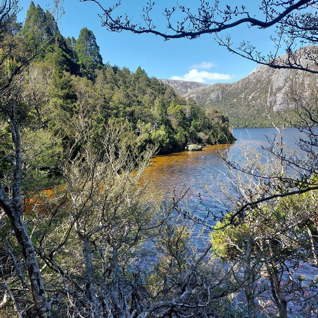 Stars: Cradle Mountain's Majestic Splendor!