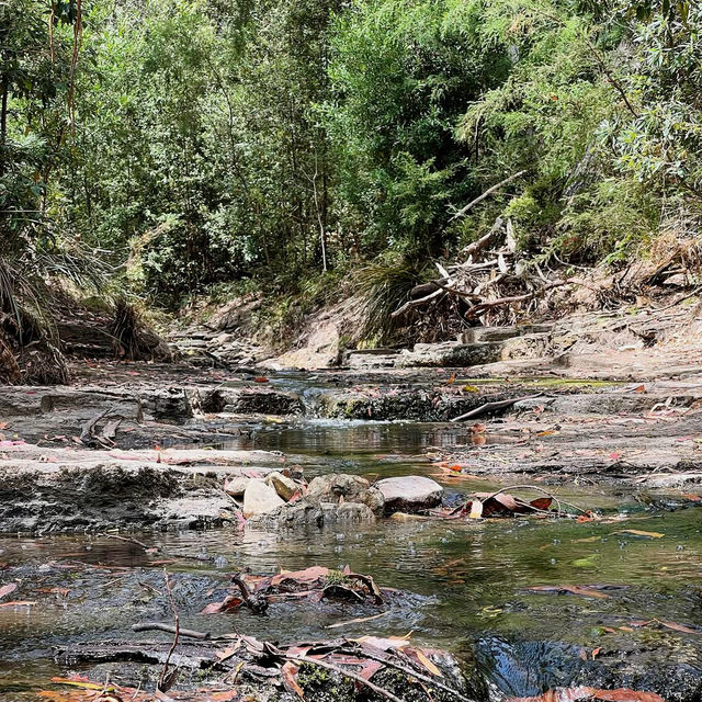 Exploring Maria Island National Park: A Journey Through Time and Nature