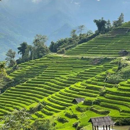 Sapa City: A Breathtaking Escape in Northern Vietnam