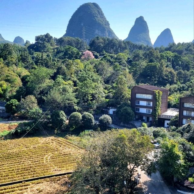 COUNTRYSIDE STAY WITH GREAT HOSPITALITY AT BAMBOO LEAF YANGSHUO 