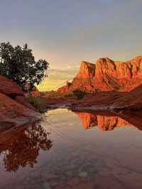 5 Reasons Why Arizona Should Be Your Next Destination