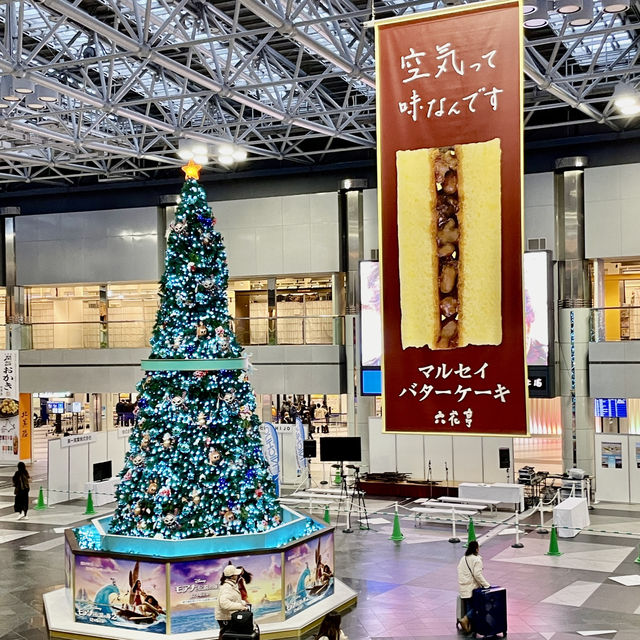 Festive Magic Takes Flight in CTS airport