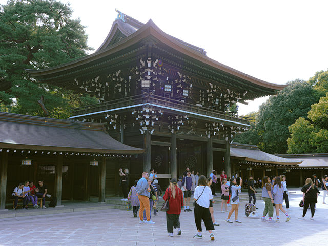 ⛩ 明治神宮 | 旅遊時刻🌳