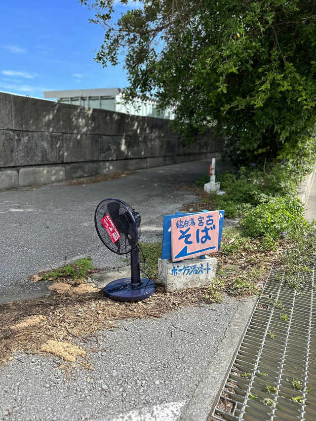 【宮古島】日本の楽園で海と絶品グルメを満喫🌺