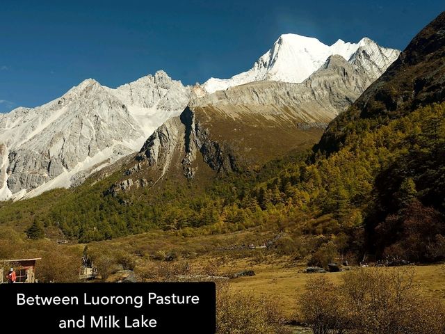 Best Autumn Viewing Experience 1/3 [Luorong Pasture, Yading Nature Reserve]