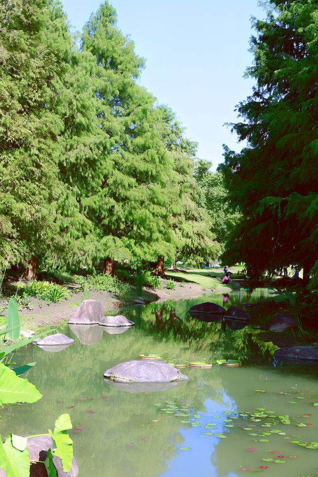 辰山植物園 賞個五彩斑斕的秋。