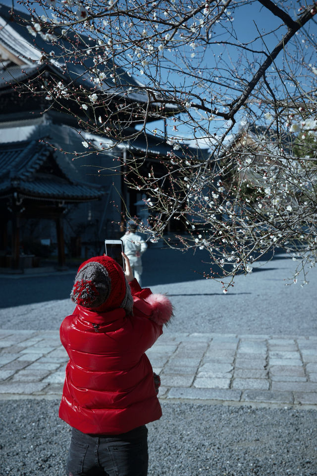 京都西本願寺｜淨土真宗本願寺派總本山。