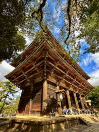 平城京大華嚴寺