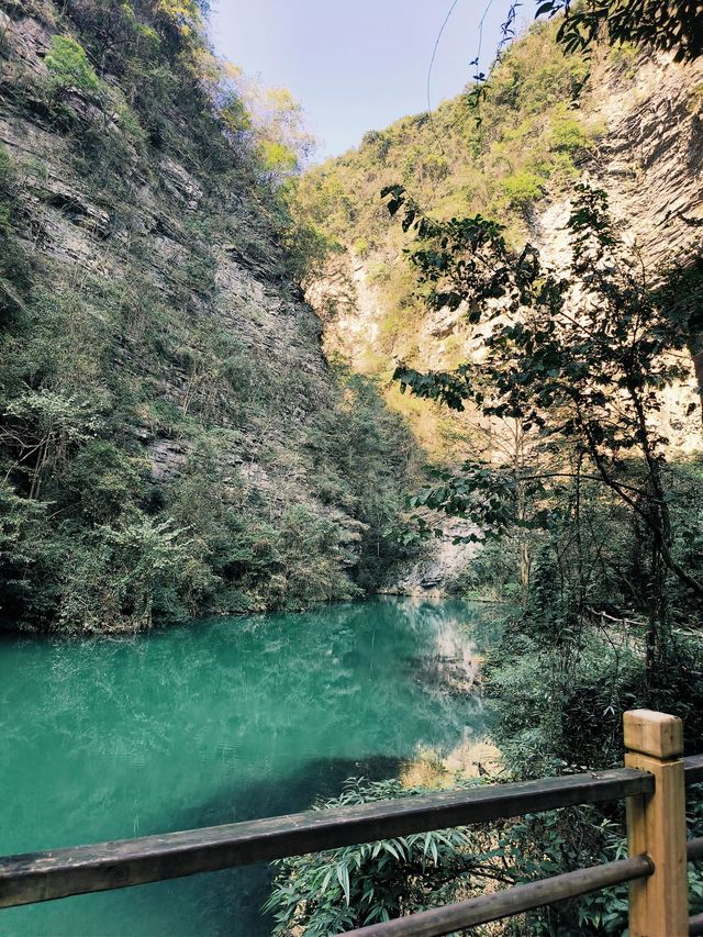 寒假要去張家界-天門山-湘西超詳細攻略